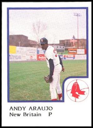 86PCNBRS 1 Andy Araujo.jpg
